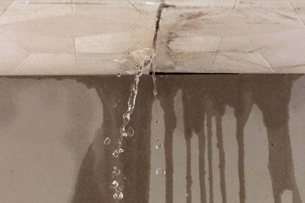 Professional Burst Pipe Cleanup technician working in Courtland, MN